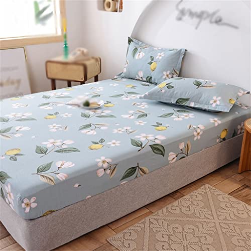 LIUZH Cotton Bed Hat Single Piece Cotton Thickened Bed Cover Mattress Protection Cover Full Sheet Bed Hat Three-piece Set (Color : D, Size : 180