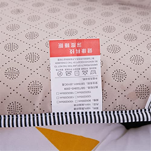 YLYAJY Japanese Style Mattress Print Tatami Mat Anti-skid Thicken Mattress Bedroom Furniture Student Dormitory Bed Mat (Color : D, Size : 120 x 2