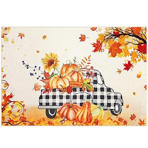 Cekene Fall Pumpkin Doormat Indoor Entrance 2x3 Rug Non Slip Small Area Rug Washable Gnome Entryway Rug Soft Floor Mats for Doorway Bathroom Bedr