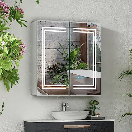LUMIRRORS® Bathroom Mirror Cabinet with Shaver Socket LED Lights 63x65cm 2-door Dimmer Touch Switch Fogless Aluminum Adjustable Shelves Storage C
