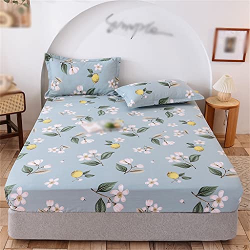 LIUZH Cotton Bed Hat Single Piece Cotton Thickened Bed Cover Mattress Protection Cover Full Sheet Bed Hat Three-piece Set (Color : D, Size : 180