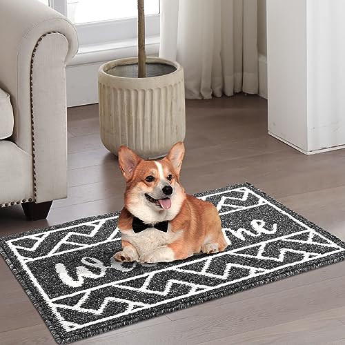 Findosom Front Door Mat, 24" x 35.5" Welcome Door Mat Indoor Entrance, Super Absorbent Dog Door Mats for Home Office Apartment Garage and Garden