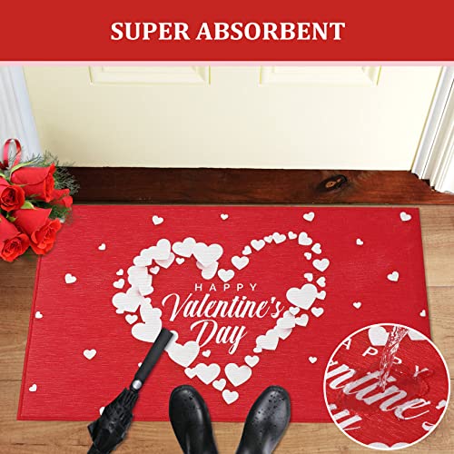 LuxFocus Doormat with Heart Patterns Non Slip Floor Mat Welcome Doormat for Indoor and Outdoor Valentines Day Decoration Mashine Washable Mats Ru