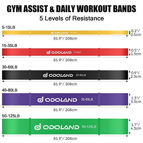 Odoland Resistance Pull Up Bands and Loop Band Set Exercise Loop Band for Men Women, Pack of 5 Different Resistance Levels Elastic Band with Door