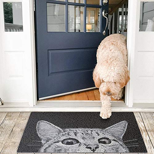 MR FANTASY Cat Door Mat Outdoor Entrance, Durable Welcome Mat, Mud Absorbent Doormat, Indoor Outdoor, Low-Profile Floor Mats, Front Door Mat for