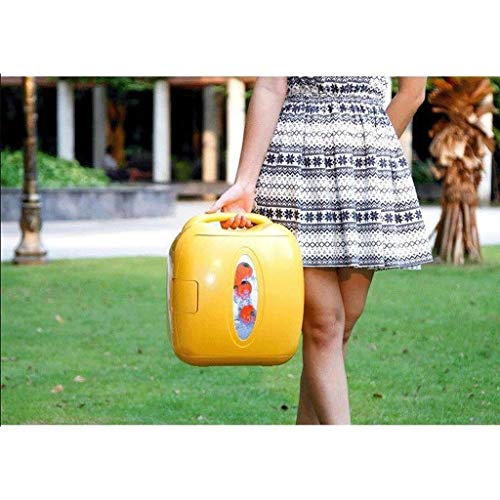 SDFGH Thermoelectric Mini Fridge Cooler and Warmer - For Home,Office, Car, Dorm or Boat - Compact & Portable