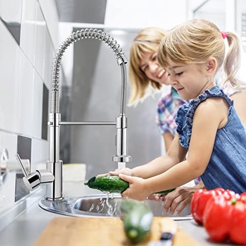 Pakuyi Spring Kitchen Sink Faucet Single Handle Single Lever High Arc Spring Faucet 360° Swivel Spring Kitchen Mixer Tap with Pull Out Sprayer wi