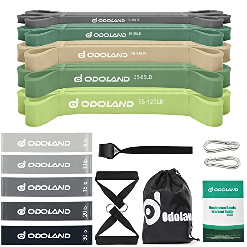 Odoland Resistance Pull Up Bands and Loop Band Set Exercise Loop Band for Men Women, Pack of 5 Different Resistance Levels Elastic Band with Door