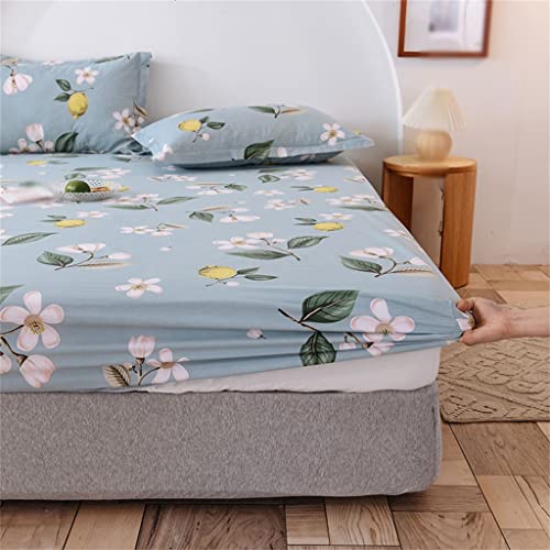 LIUZH Cotton Bed Hat Single Piece Cotton Thickened Bed Cover Mattress Protection Cover Full Sheet Bed Hat Three-piece Set (Color : D, Size : 180