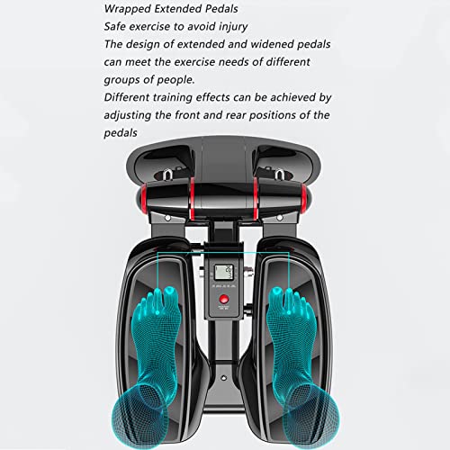 Stepper, Up-down with or Without Training Bands, Holistic Training