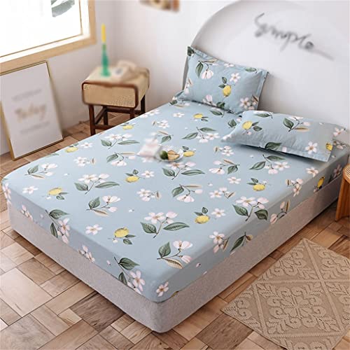 LIUZH Cotton Bed Hat Single Piece Cotton Thickened Bed Cover Mattress Protection Cover Full Sheet Bed Hat Three-piece Set (Color : D, Size : 180