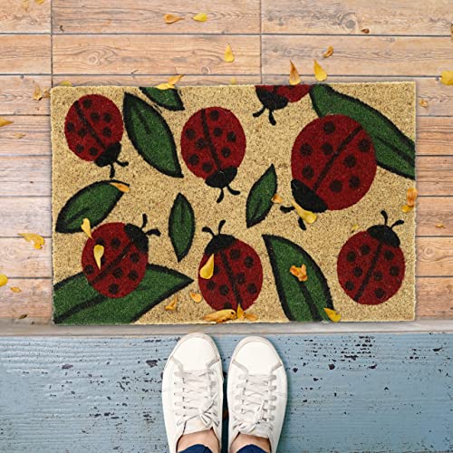 Relaxdays Ladybug Doormat Rubber, 40 x 60 cm, Door Mat Inside & Outside, Non-Slip, Natural Coir/Red, PVC