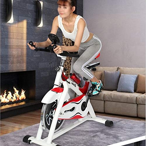 NXYJD Indoor Cycling Bikes 250kg Load Exercise Bicycle Stationary Bicycle Home Fitness Bike Weight Loss Spinning Bike