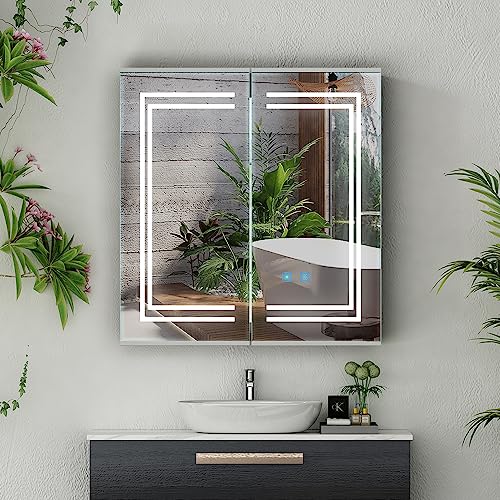 LUMIRRORS® Bathroom Mirror Cabinet with Shaver Socket LED Lights 63x65cm 2-door Dimmer Touch Switch Fogless Aluminum Adjustable Shelves Storage C