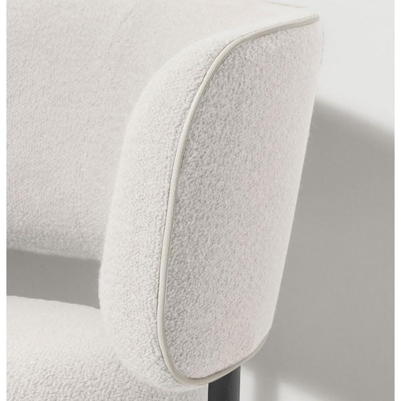 LUKEO Dining Chairs Restaurant Designer Leisure Chair Coffee Shopmoveis Para Casa Home Furniture (Color : D, Size : Light Grey)