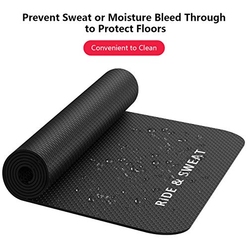 Naisi Heavy Duty Indoor Exercising Bike Mat Compatible with Peloton Bike and Bike +