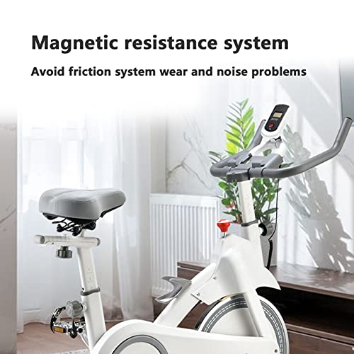 Bluetooth Exercise Bike, Home Exercise Bike, Magnetically Controlled Stationary Bike, 5kg Flywheel, Bluetooth App, Adjustable Aerobic Training Eq