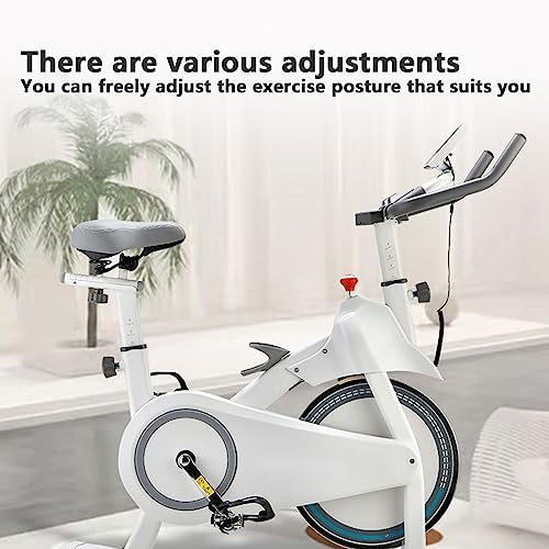 Bluetooth Exercise Bike, Home Exercise Bike, Magnetically Controlled Stationary Bike, 5kg Flywheel, Bluetooth App, Adjustable Aerobic Training Eq