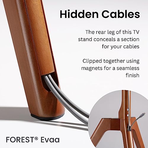 FOREST Floor TV Stand fits 45" to 65" Screens, for Samsung, Sony, LG and VESA 200x200-400x400 TVs