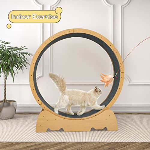 Petour 42.5 Inch Cat Exercise Wheel for Indoor Cats, Cat Treadmill Exerciser for Fitness