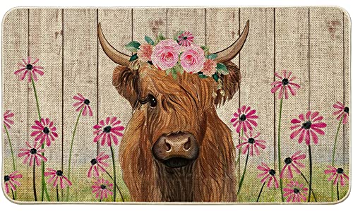 ORTIGIA Welcome Christmas Poinsettia Doormat Indoor Outdoor Patio Eucalyptus Leaves Door Mats Non-Slip Durable Entrance Mat for Home Entrance, Ou