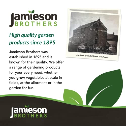 Hessian Sack for Storing Potatoes & Vegetable Storage Bags – 3 Pack – Holds up to 25kg – 84cm x 50cm – Store Fruit & Root Crops – Great for Farme