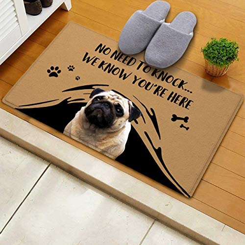 VEELU Personalized Door Mat for Front Door Outdoor Dog Pet Funny Custom Welcome Photo Doormat Outside Inside Modern Farmhouse Decor Unique Gift I