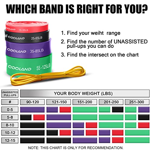 Odoland Resistance Pull Up Bands and Loop Band Set Exercise Loop Band for Men Women, Pack of 5 Different Resistance Levels Elastic Band with Door