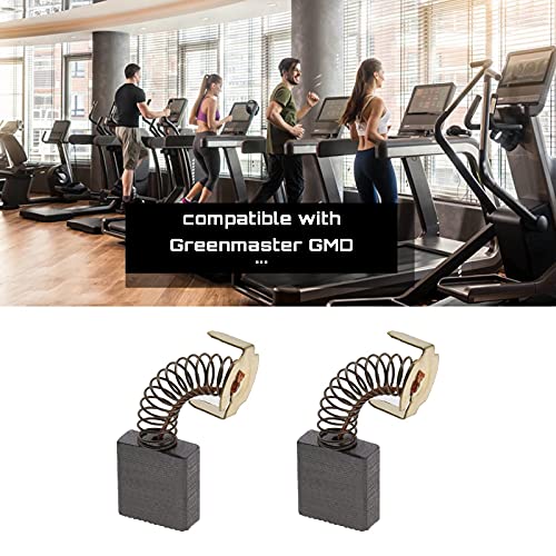 Carbon Brush 17x17x7mm Compatible with Greenmaster GMD 118-1 Treadmill Electric Motors Replacement Repair Part 2 Pairs