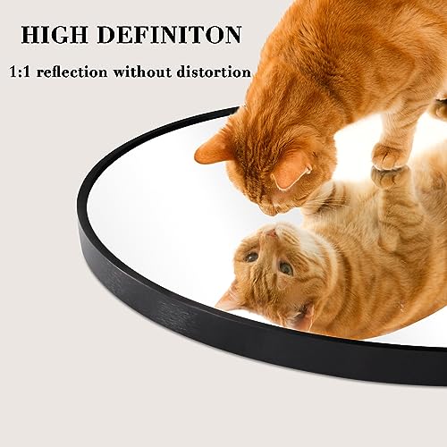 CKCY Arch Round Mirror 22x30¡