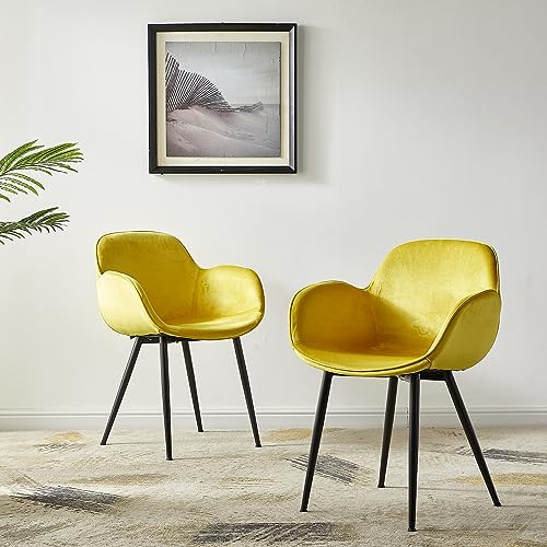 LeChamp Set of 2 Velvet Dining Chair Occasional Armchair with Armrests & Backrest Leisure Chair for Kitchen Lounge Bedroom Living Room Accent Tub