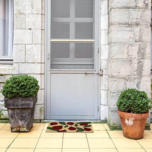 Relaxdays Ladybug Doormat Rubber, 40 x 60 cm, Door Mat Inside & Outside, Non-Slip, Natural Coir/Red, PVC