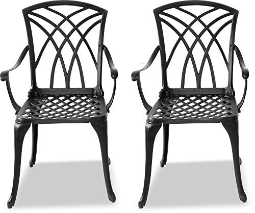 Homeology OSHOWA 2-Large Garden & Patio Chairs with Armrests in Cast Aluminium Black