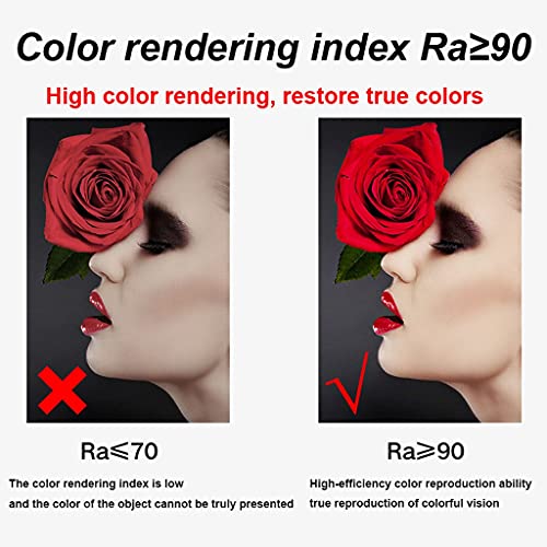 SkiPdr Bathroom mirror With Lights, LED Illuminated Bathroom Vanity Mirror, Metal Framed HD Round Wall Mirror, Size : 60cm 50cm(2 (Golden(white L