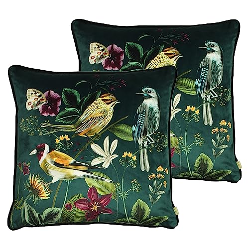 Wylder Nature Midnight Garden Birds Outdoor Cushions Twin Pack,Aqua,43 x 43cm
