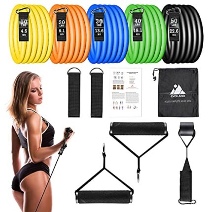 EVOLAND Resistance Bands Set, Exercise Bands for Home Workouts With Carrying Bag, Home Gym Equipment for Full Body Training