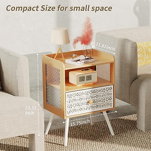 Iirios Nightstands Set of 2, End Table with Open Shelf, 2-Tier Night Stand with Adjustable Metal Floral Drawer, Night Stand for Bedroom Sofa Side