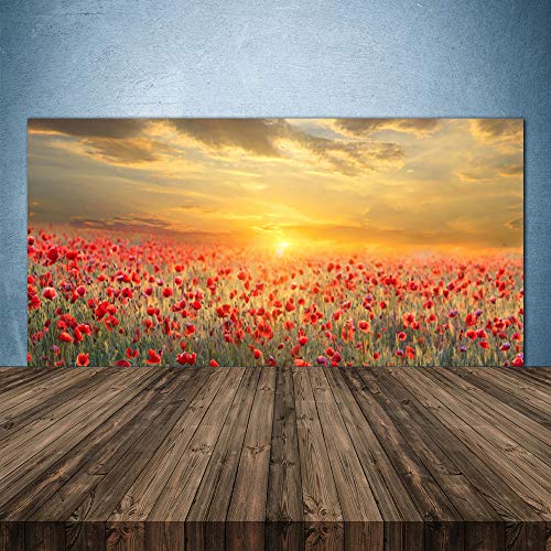 Tulup Splashback - 140x70cm Backsplash Cooker Hob Wall Splashback - Kitchen Wall Panels - Heat Resistant - Toughened/Tempered Safety Real Glass -