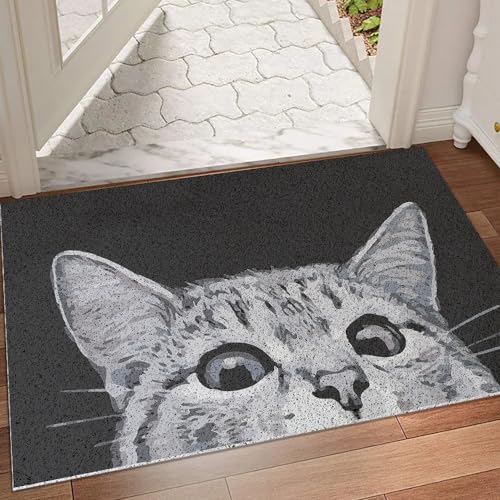 MR FANTASY Cat Door Mat Outdoor Entrance, Durable Welcome Mat, Mud Absorbent Doormat, Indoor Outdoor, Low-Profile Floor Mats, Front Door Mat for