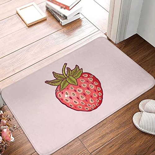 N/A Strawberry Fields Polyester Doormat Rug Carpet Mat Footpad Non-slip Sand Scraping Entrance Kitchen Bedroom Balcony (Color : D, Size : 40x60cm