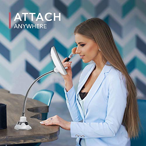 Fancii Flexible Magnifying Mirror 10X with LED Light and Gooseneck, Lighted Travel Makeup Mirror, Lock Suction, Natural Daylight LED, Cordless an