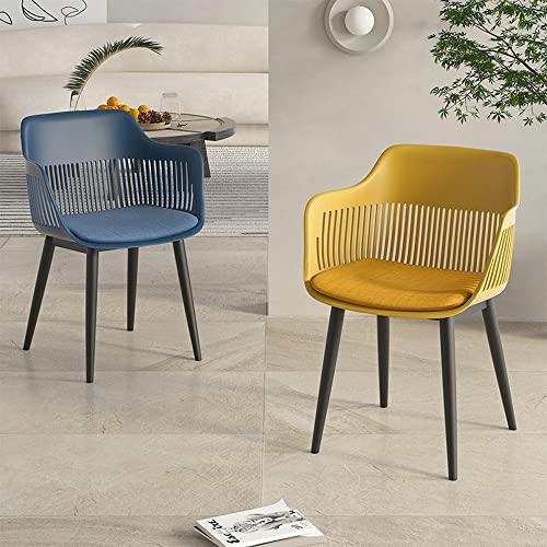 LIUZH Nordic Dining Chairs Designer Design Dining Chairs Plastic Transparent Sillas Computer Chai (Color : Argento, Size : 1code)