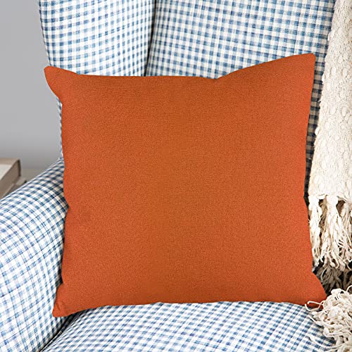 Ruisita 2 Pack 18 x 18 Inches Waterproof Pillow Covers Square Garden Cushion Case Decorative Outdoor Throw Pillow Covers for Home Garden Patio (O