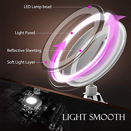 LINPOZONE Version 10X Magnifying Makeup Vanity Mirror with Lights, LED Lighted Portable Hand Cosmetic Magnification Light up Mirrors for Home Tab