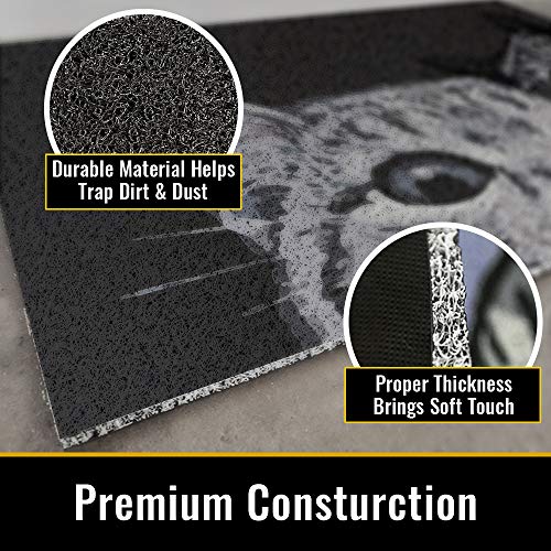 MR FANTASY Cat Door Mat Outdoor Entrance, Durable Welcome Mat, Mud Absorbent Doormat, Indoor Outdoor, Low-Profile Floor Mats, Front Door Mat for