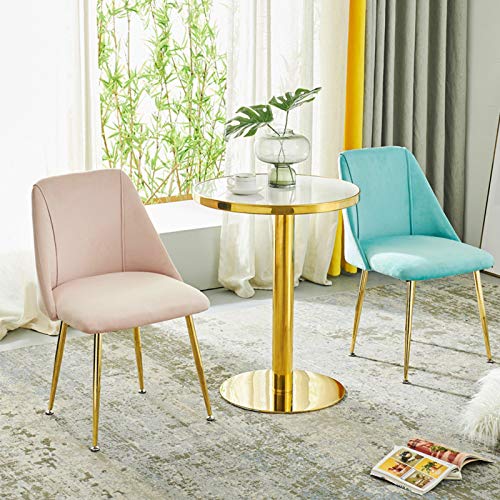 Modern Kitchen Dining Room Chairs Dining Chair With Metal Legs Velvet Seat And Backrests For Office Chair Lounge Dining Kitchen Bedroom (Color :