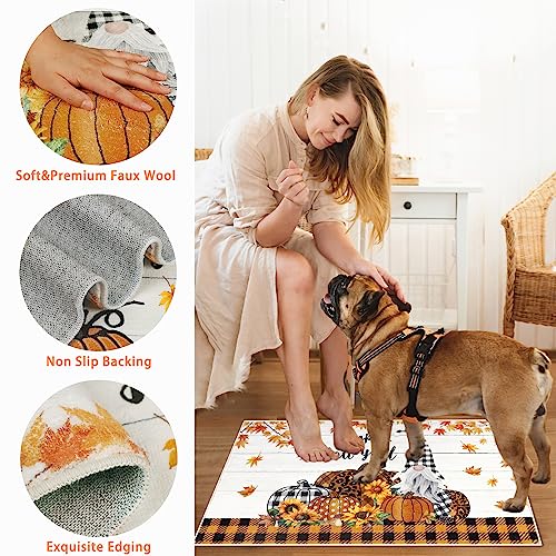 Cekene Fall Pumpkin Doormat Indoor Entrance 2x3 Rug Non Slip Small Area Rug Washable Gnome Entryway Rug Soft Floor Mats for Doorway Bathroom Bedr