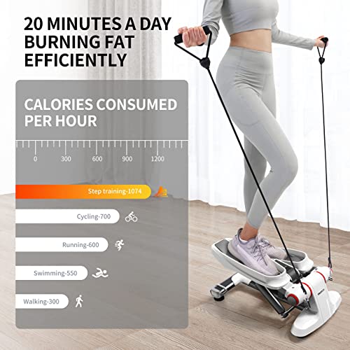 PROIRON Steppers for Exercise, Mini Stepper Machine with Display, Step Exercise Machine with Resistance Bands for Home Workout, Up Down Stair Cli