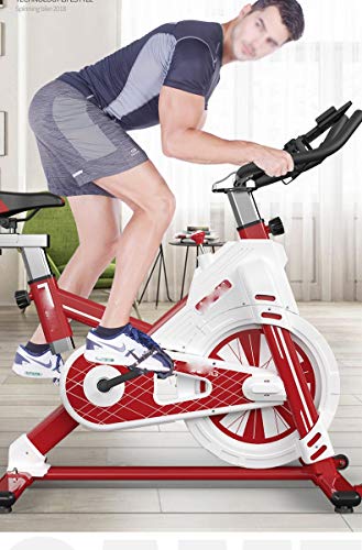 N/A Household Spinning Bike Indoor Mute Riding Sports Fitness Car Weight Loss Equipment Flywheel Full Package Safety Design (Color : Black)