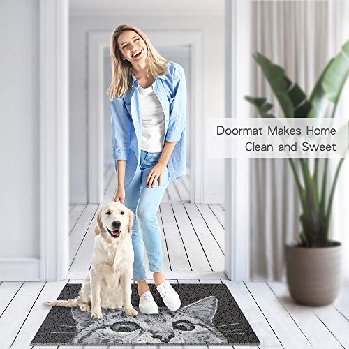MR FANTASY Cat Door Mat Outdoor Entrance, Durable Welcome Mat, Mud Absorbent Doormat, Indoor Outdoor, Low-Profile Floor Mats, Front Door Mat for